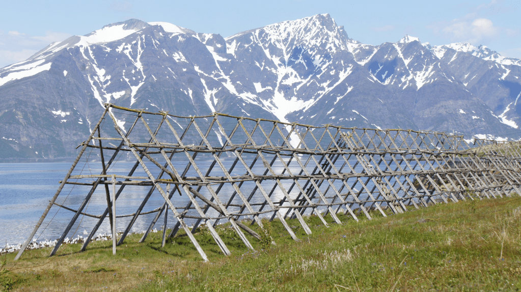 Dette bildet har en tom alt-tekst; dets filnavn er image-91.png