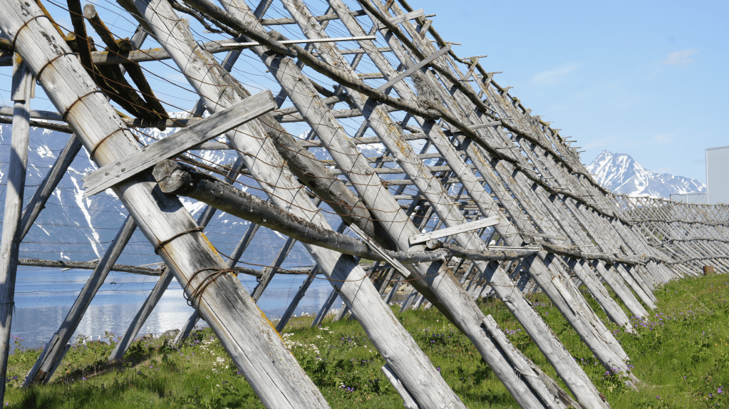 Dette bildet har en tom alt-tekst; dets filnavn er image-92.png