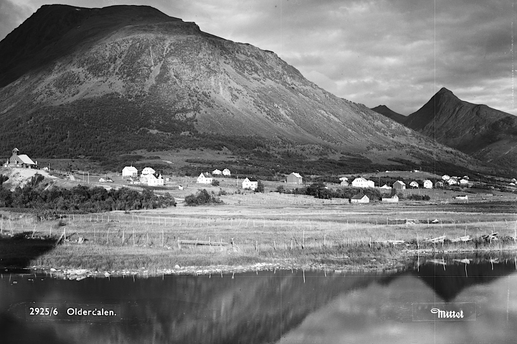 Dette bildet har en tom alt-tekst; dets filnavn er mittt-11.png