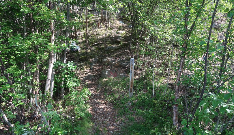 Dette bildet har en tom alt-tekst; dets filnavn er revdalsstien.png