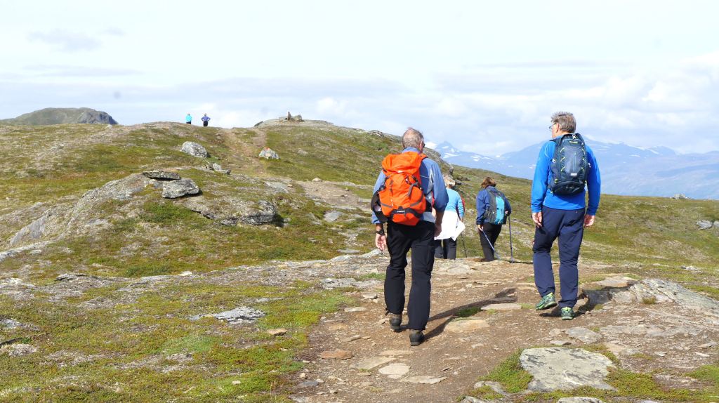 Dette bildet har en tom alt-tekst; dets filnavn er bjork18.jpg